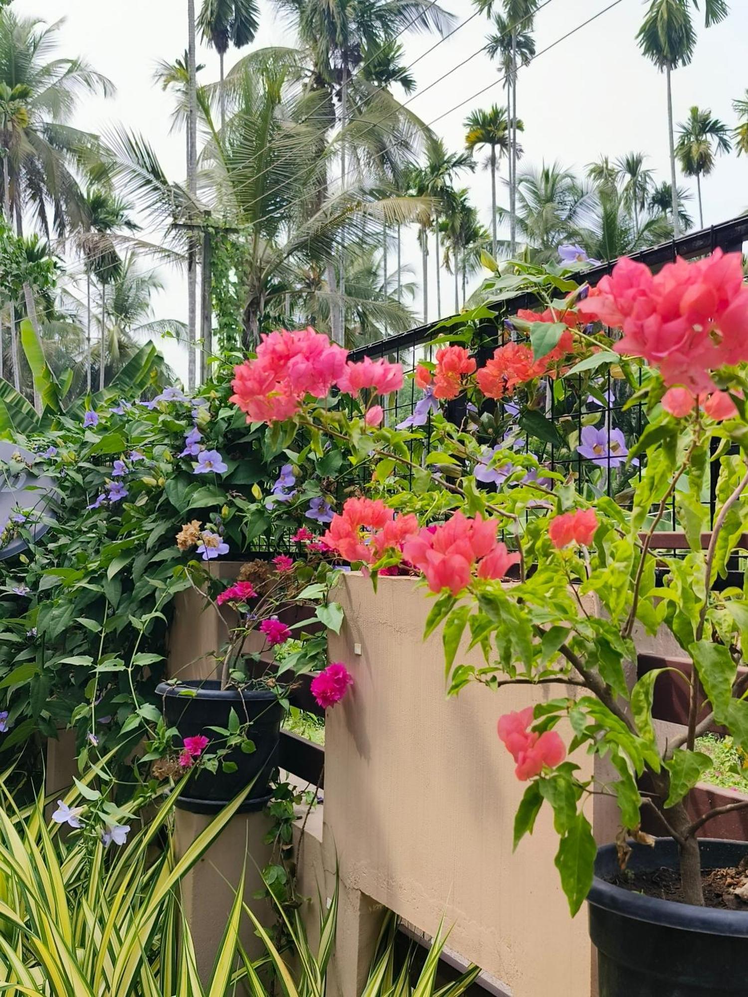 Swasth The Riviera Lovedale Nilambūr الغرفة الصورة